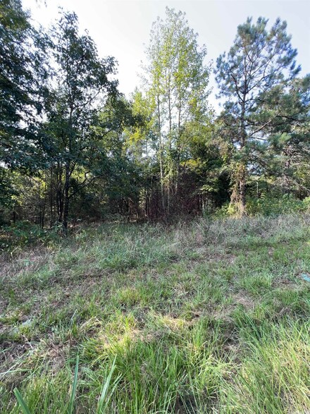 Lot E Ebenezer Rd, Amity, AR 71921