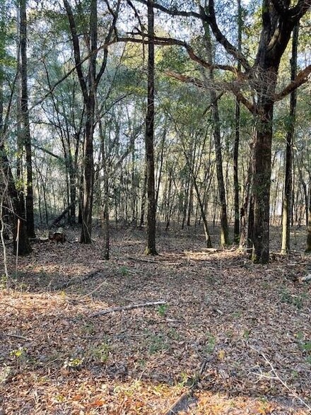 0 Lot 17 & 18 Arrowhead Ln Unit 25521, Fort Gaines, GA 39851
