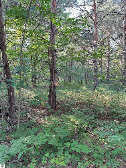 4487 NE Us-131, Kalkaska, MI 49646