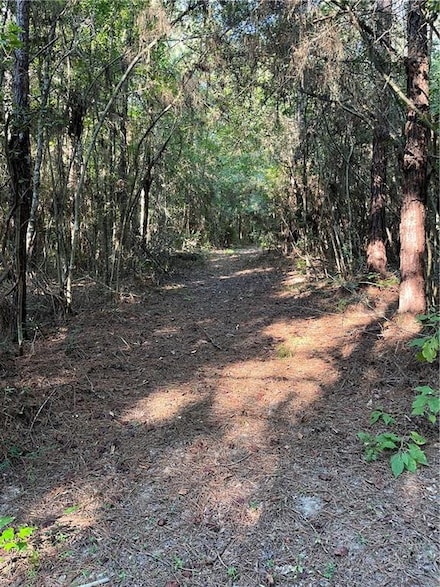 0 Aunt Margies Rd Unit 2524670, Greensburg, LA 70441