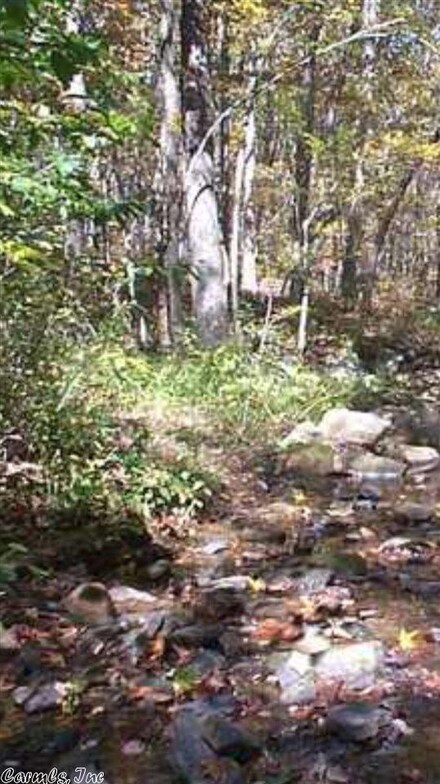 W Queen Simmons Rd, Dennard, AR 72629