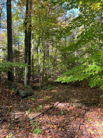 0 Dunn Rd Unit 1606134, Belgrade, ME 04917