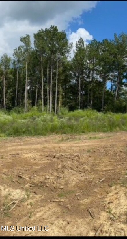 0 Moncure Marble Rd Unit 4097634, Terry, MS 39170