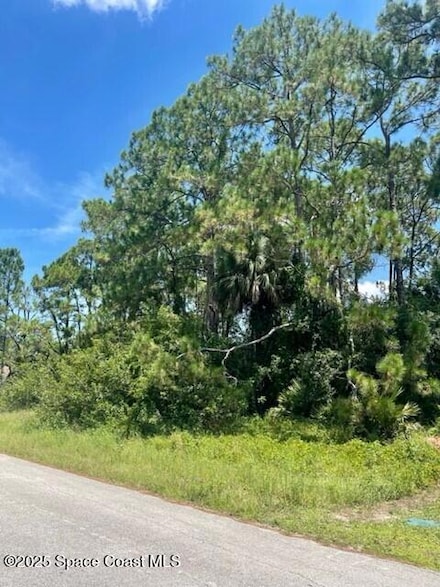 171 & 177 Shalimar Ave NW, Palm Bay, FL 32907