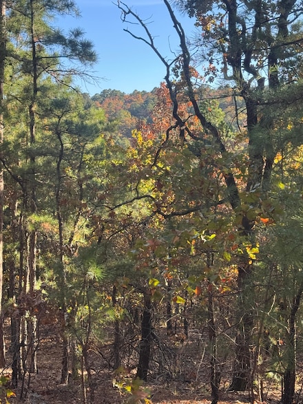 Tbd Bengal Rd, Talihina, OK 74571