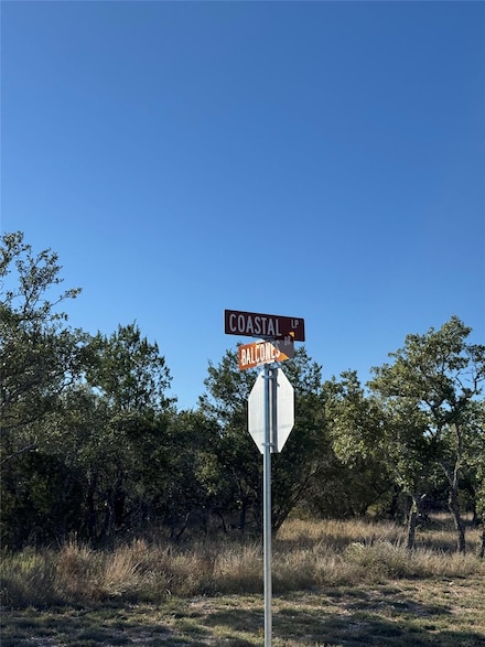 60 Coastal Loop, Johnson City, TX 78636