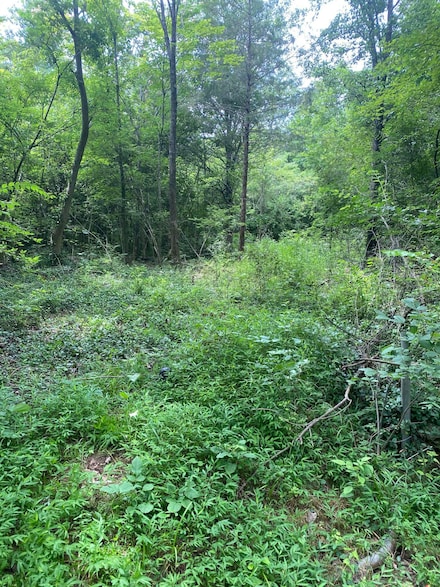 0 Mccahill Rd Unit 1394599, Chattanooga, TN 37415