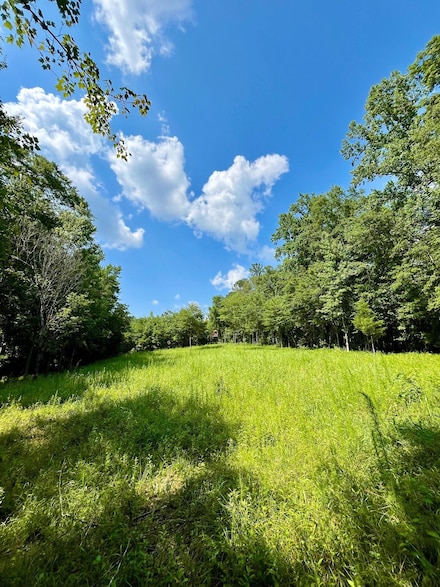 County Road 24, Wadley, AL 36276