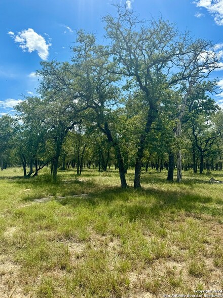 682 Terrace Hill Ln, Floresville, TX 78114