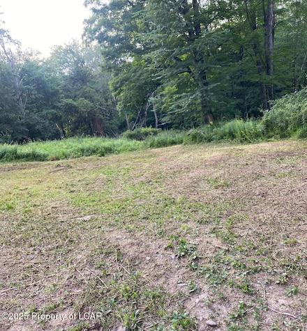 0 Chase Rd, Jackson Township, PA 18708