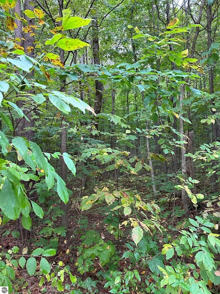 000 Woodland Dr NE, Coldsprings Township, MI 49646