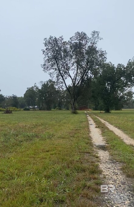 8800 W Williams St, Citronelle, AL 36522