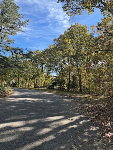 74 Baxter Rd, Storrs Mansfield, CT 06268