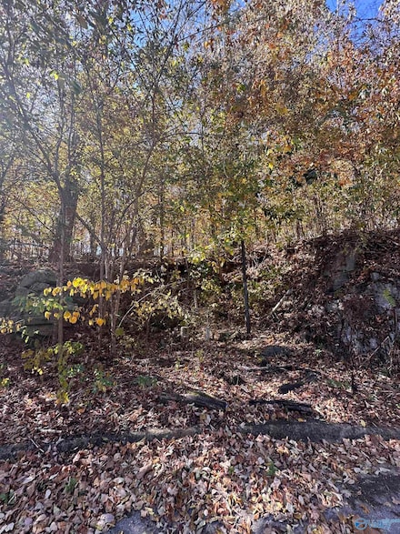 4622 Legacy Preserve Way SE, Brownsboro, AL 35741