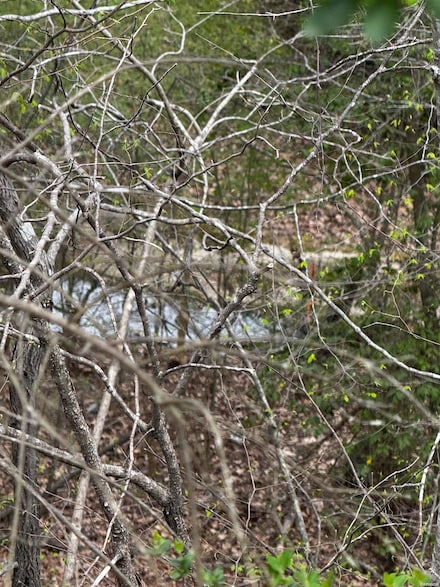 Lot 31 Forest View Cir, Hot Springs, AR 71913