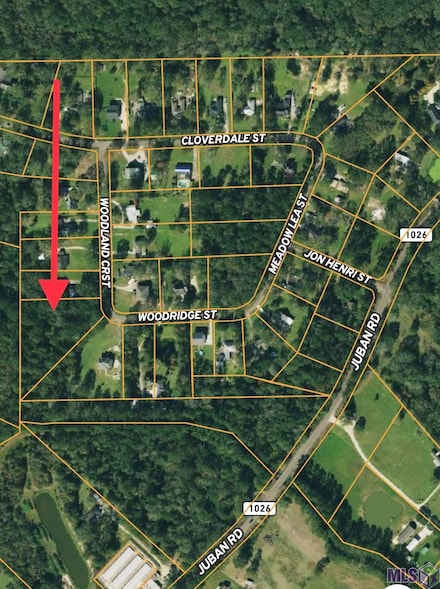 2.06 acres Woodridge St, Denham Springs, LA 70726
