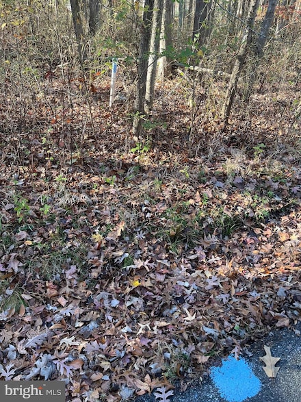 0 Shaffer Unit MDBC2113080, Essex, MD 21221