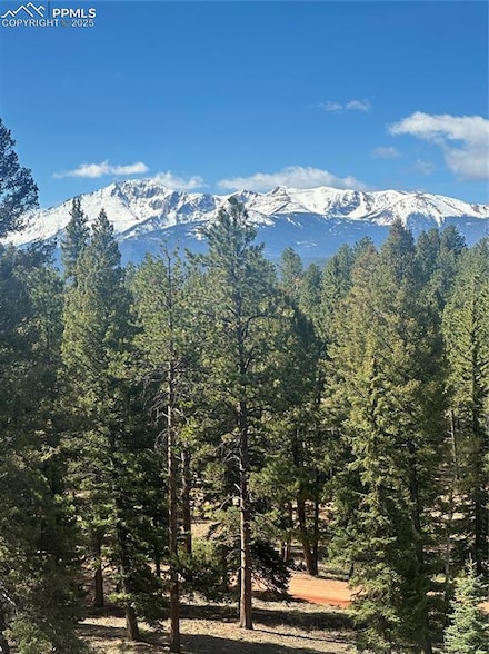 0 Sourdough Rd, Woodland Park, CO 80863