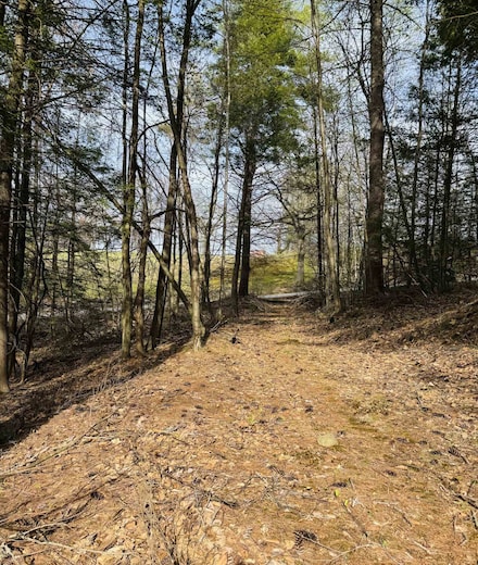 Lot F-84 McGettigan Rd, Wilton, NH 03086