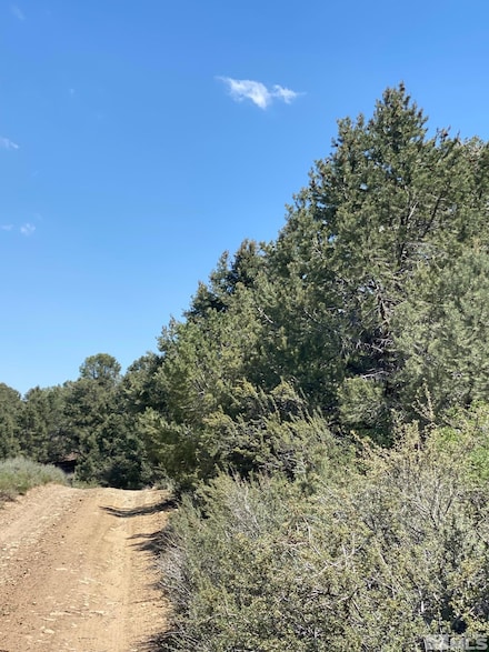 TBD Pine Nut Mountains (27) Unit 27, Gardnerville, NV 89410