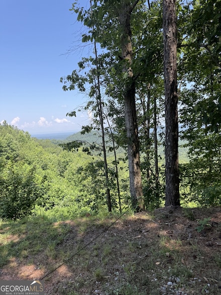 1588 Paladin Dr NE, Ranger, GA 30734