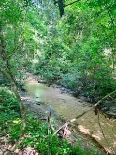 3862 Chicken Farm Rd SE, Brookhaven, MS 39601