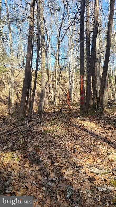 0 Williams Rd, Franklin, WV 26807