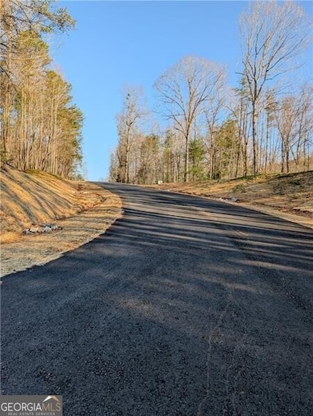 0 Yahoola Ridge Unit 10489867, Dahlonega, GA 30533