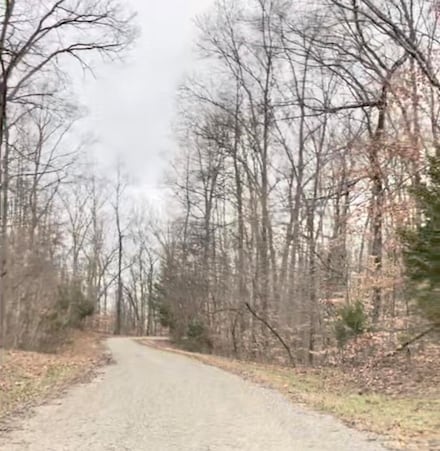 Lot 123 Kelly Cir, Nancy, KY 42544