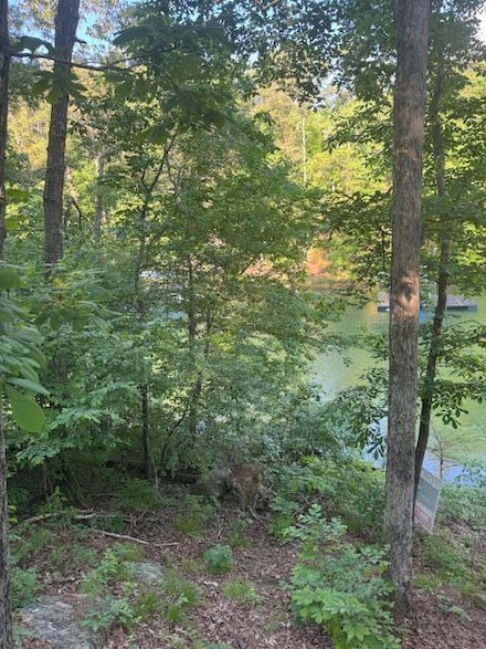 0 Big Bend Godsey Rd, Houston, AL 35572