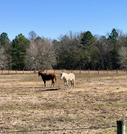 272-30-40 Equestrian Way, Aiken, SC 29805