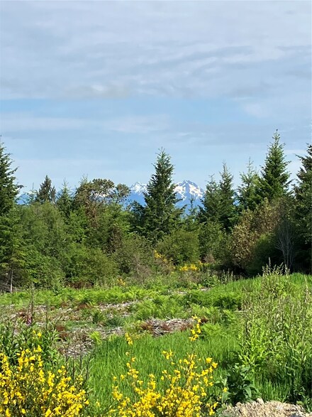 2 E Lone Fir Dr Rd E, Shelton, WA 98584
