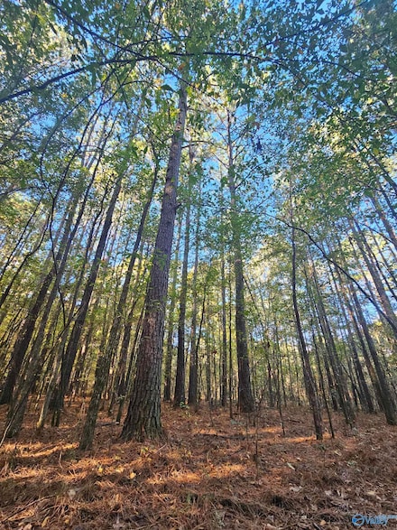 009 County Road 6, Piedmont, AL 36272