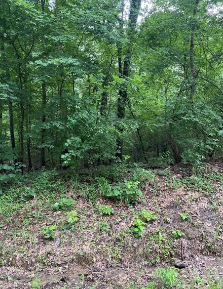 TBA Cr 2650 2711, Shelbyville, TX 75973