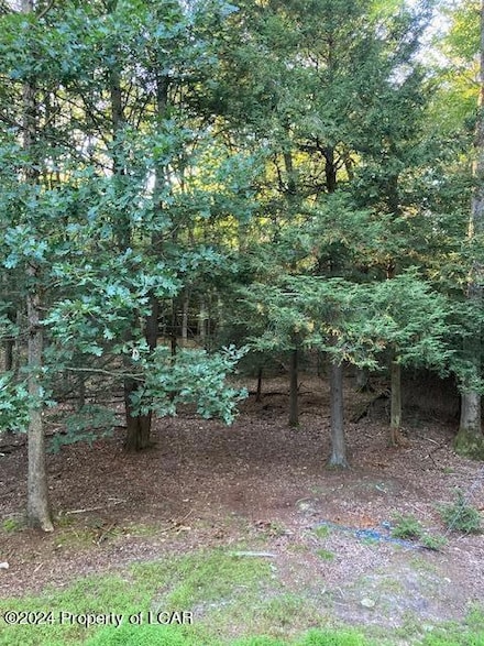 12 Avalanche Ln, Butler Township, PA 18222