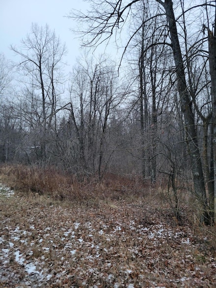 XX Baker Ave, Ladysmith, WI 54848