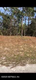 0 Colonel Ave Unit 2085825, Webster, FL 33597