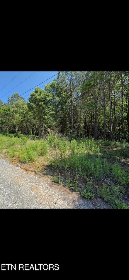 0 Robbies Ln Unit 1302188, Decatur, TN 37322