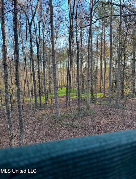 0 E Whitworth St, Hazlehurst, MS 39083