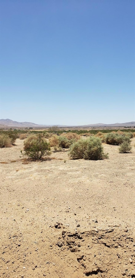 0 Wheeler Rd Unit 225070616, Helendale, CA 92342