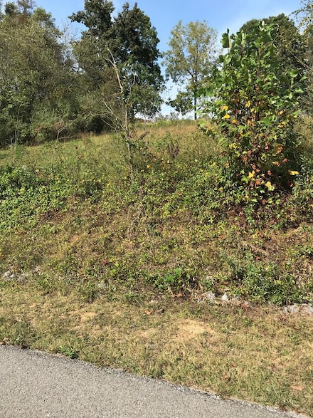 TBD Lot#19 Christin Ln, Chilhowie, VA 24319