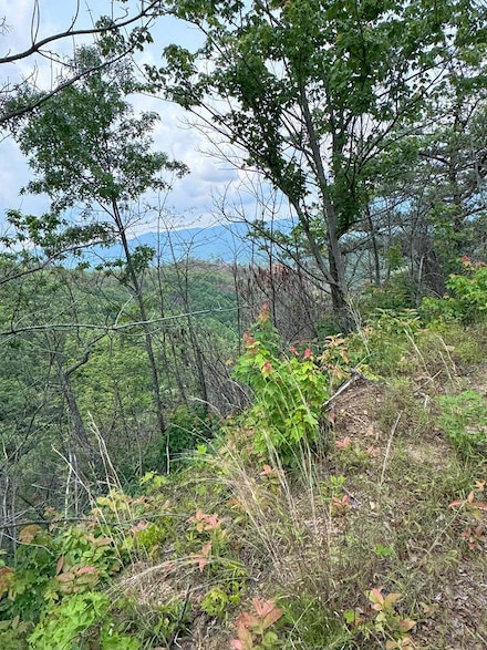 88 acres Bolden Branch Rd, Andrews, NC 28901