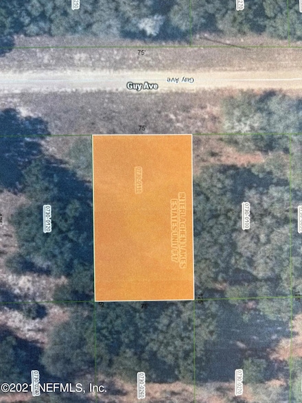 000 Guy Ave, Interlachen, FL 32148