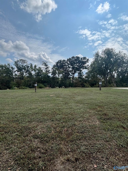 Lot 8 Alabama 68, Gaylesville, AL 35973
