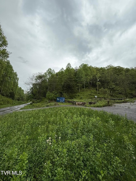 29188 Chestnut Rd, Meadowview, VA 24361