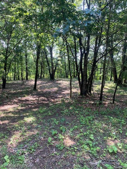 3 Sleaford-Parcel 3-3 17 Acres Rd, Howell Township, MI 48843