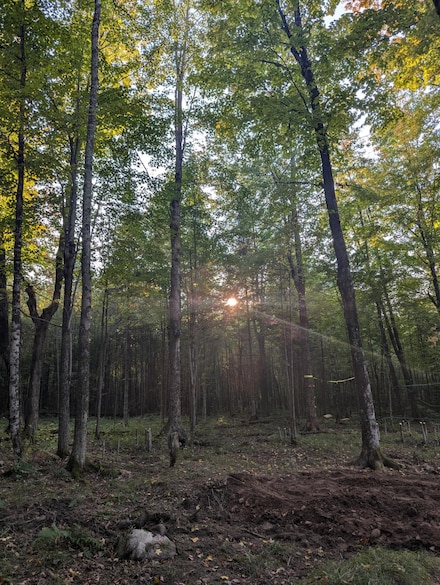 N2173 Meridian Rd, Prentice, WI 54556