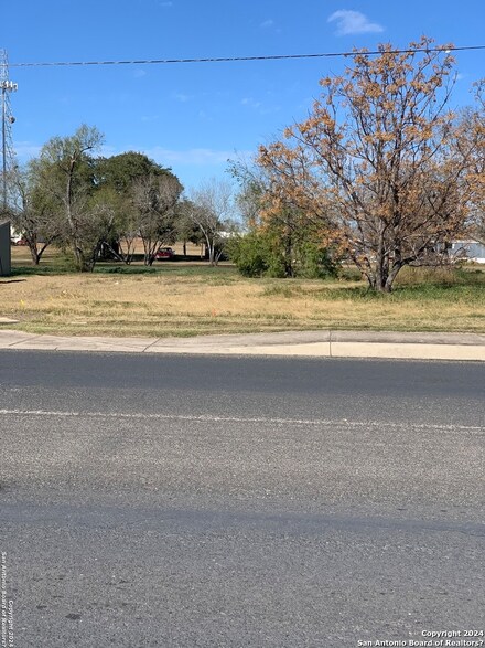 1419 Standish St, Floresville, TX 78114