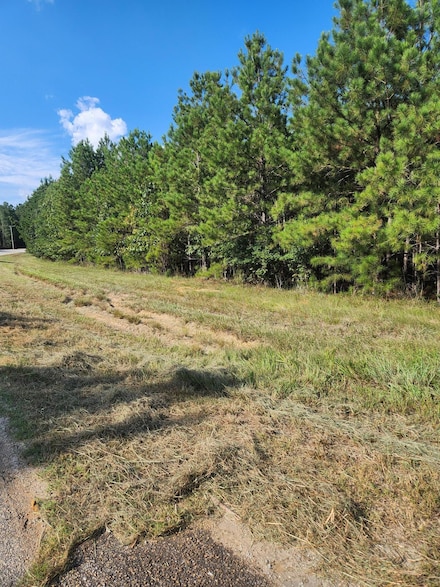 Lot 1 Georgia 220, Lincolnton, GA 30817