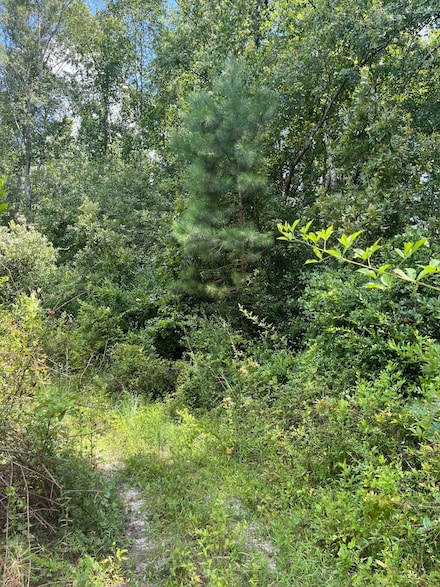 BFF 5 Brunson Teal Rd Unit BFF 5, Chester, SC 29584